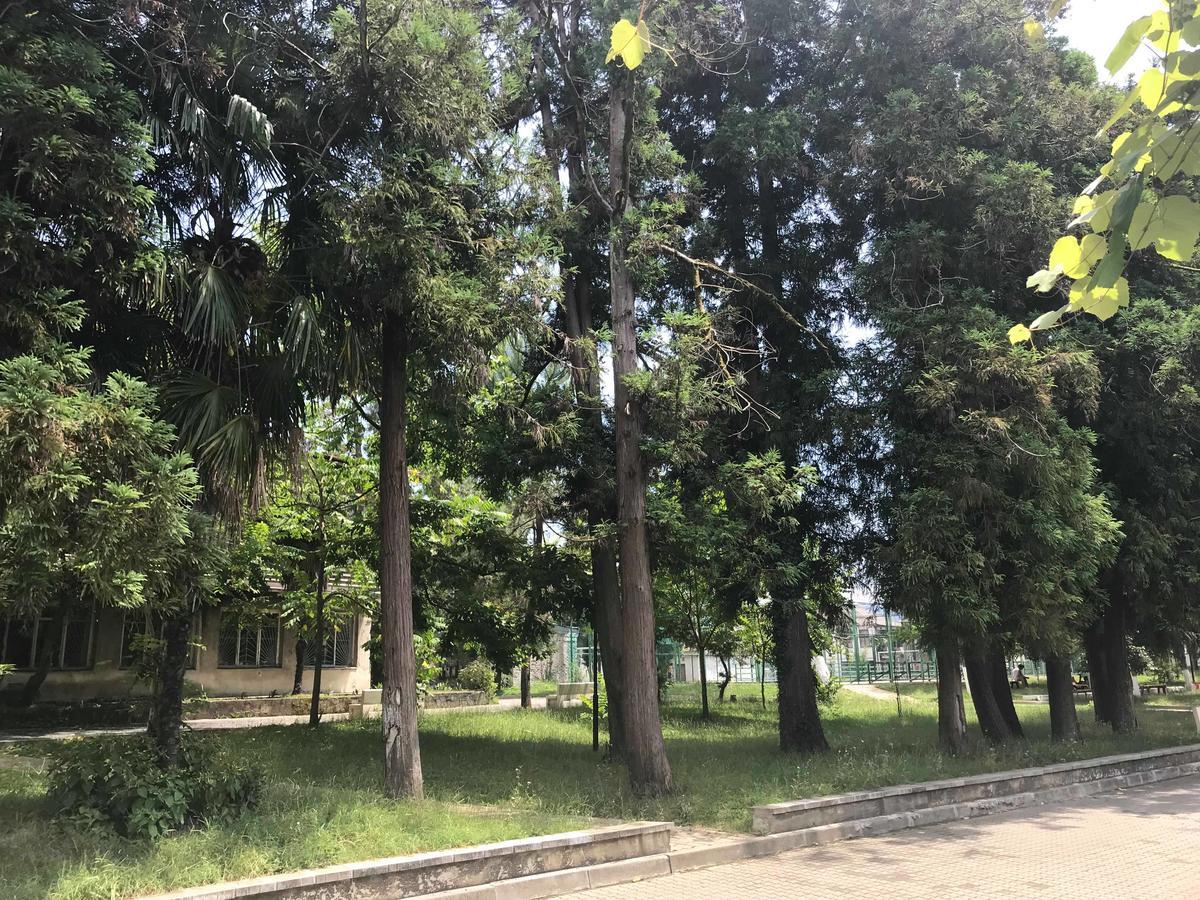 Anna Hostel Kobuleti Bagian luar foto