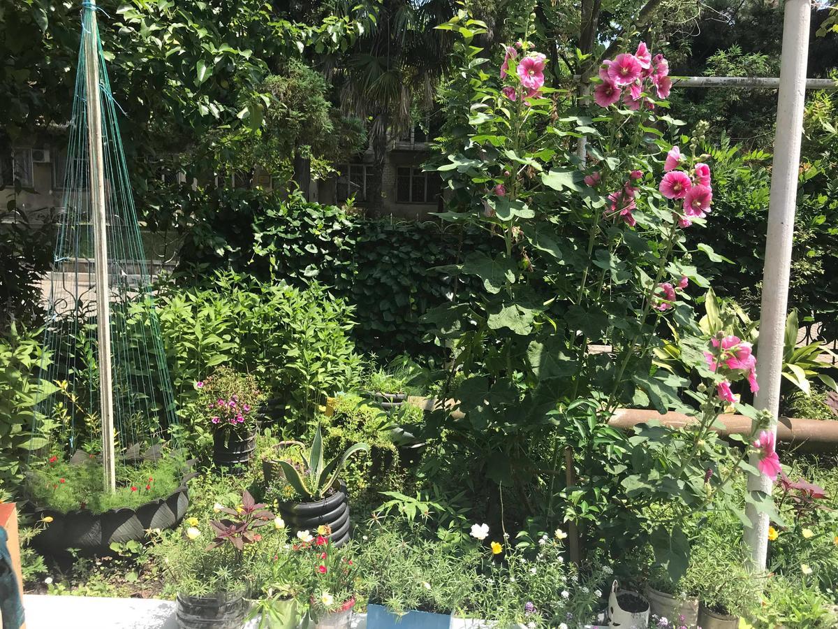 Anna Hostel Kobuleti Bagian luar foto