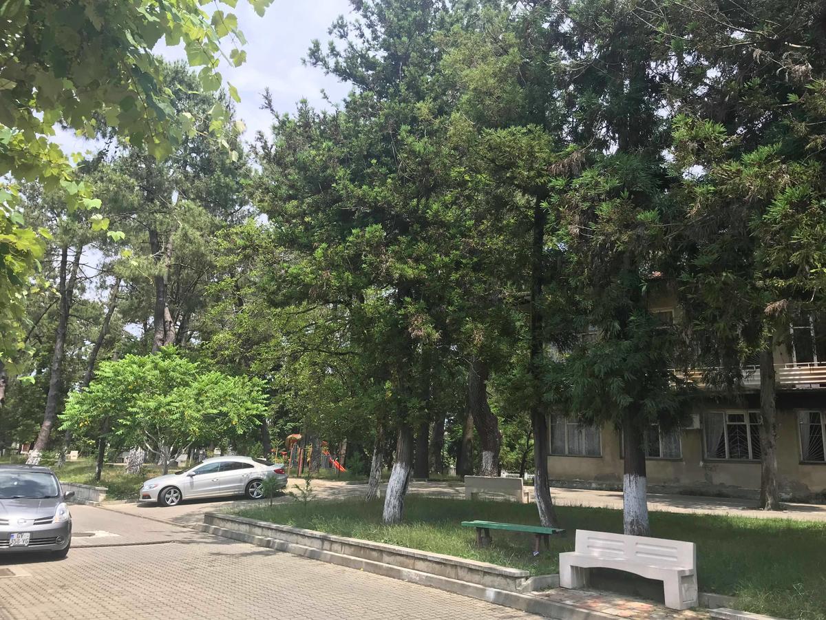 Anna Hostel Kobuleti Bagian luar foto